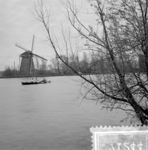 Molentocht wherries (roeiboten) op de Amstel. Start bij molen De Zwaan te Ouderk, Bestanddeelnr 907-1244