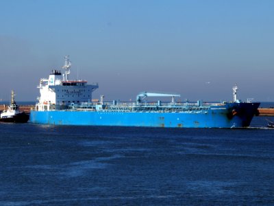 Minerva Antonia - IMO 7700180 at IJmuiden, Port of Amsterdam photo-6