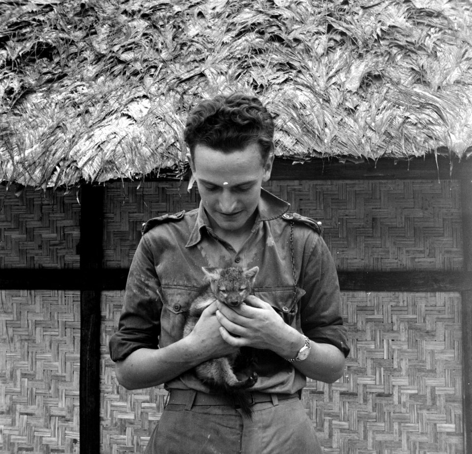 Militair met een jong vosje in het kampement bij Zanderij in Suriname, Bestanddeelnr 252-6398