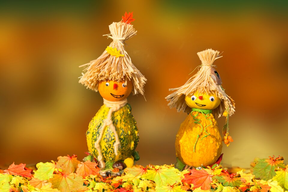 Pumpkin man do it yourself funny