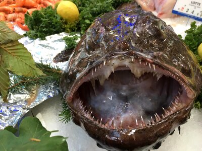 Seafood healthy agriculture