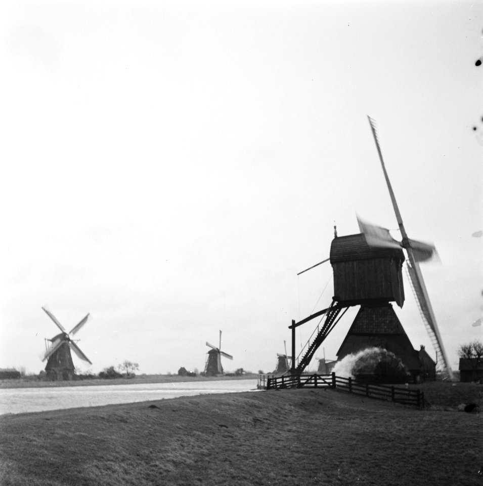 Molens te Kinderdijk. Op de voorgrond wipmolen De Blokker (Alblasserdam), Bestanddeelnr 901-5399