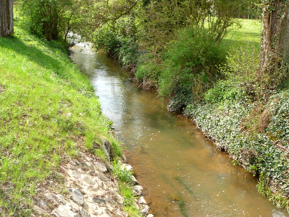 Muenchweiler 11