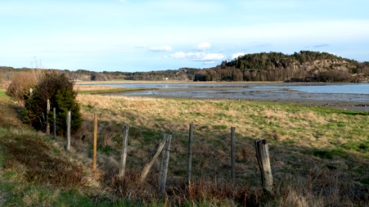 Mudflats in Norrkila bay photo