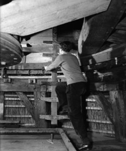 Molenaarshulp, klimt op trap, Bestanddeelnr 901-4176