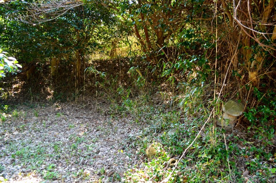 Mukoyama Kofun Group-3, funkyu