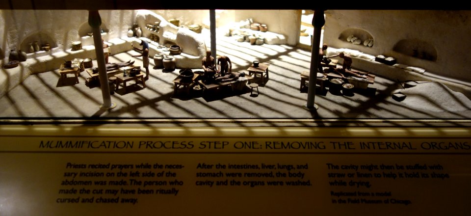 Mummification Process Step 1, Removing the Internal Organs - Fitchburg Art Museum - DSC08589