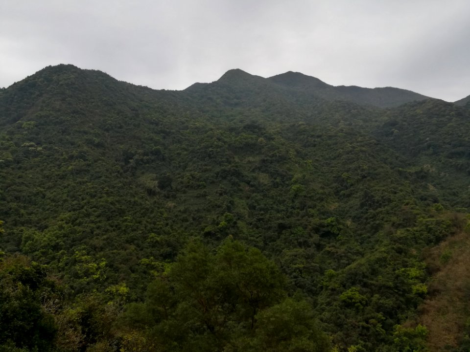 Mount Wutong in Luohu District of Shenzhen, picture4