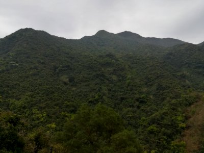 Mount Wutong in Luohu District of Shenzhen, picture4