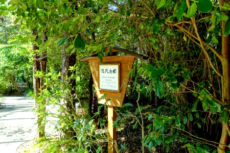 Modern Romantic Garden - Morikami Museum and Japanese Gardens - Palm Beach County, Florida - DSC03406