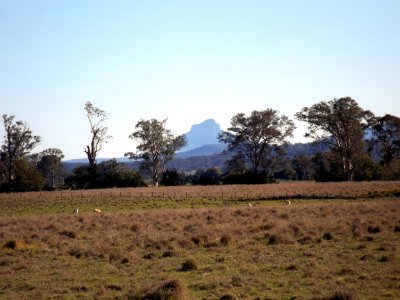 Mount Lindesay from Laravale