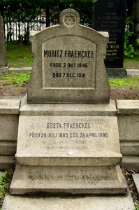Moritz o Gösta Fraenckel, Mosaiska