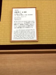 MOA Museum of Art 2018 (128)