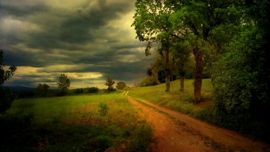Nature green india