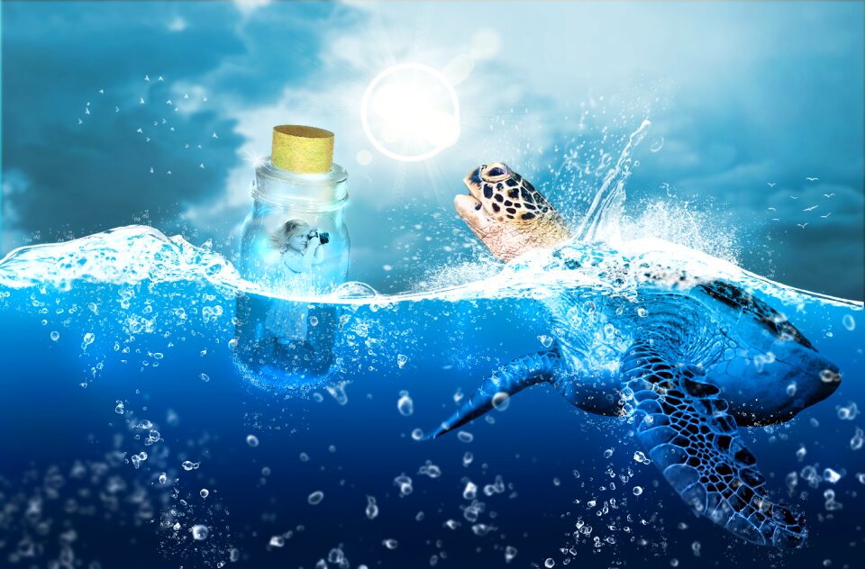 Underwater ocean outdoors