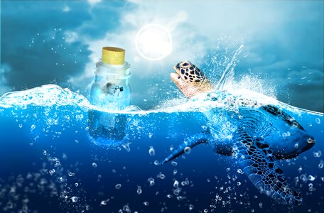 Underwater ocean outdoors