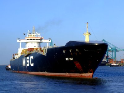 MSC Asli, Port of Antwerp 19Dec2008 pic4
