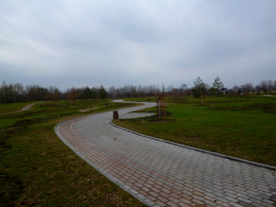 Moskvoretsky dendropark 4