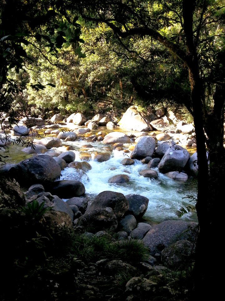 Mossman Gorge, Daintree National Park, Queensland 02