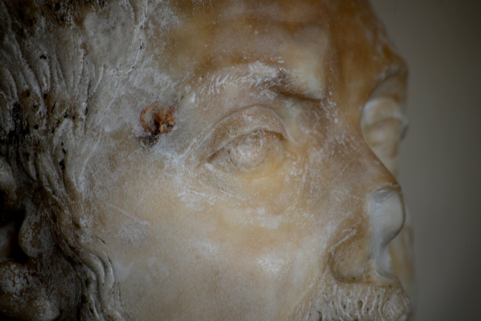 MSR - Portrait d'homme (détail du visage) - Ra 69