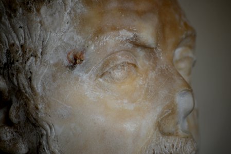 MSR - Portrait d'homme (détail du visage) - Ra 69