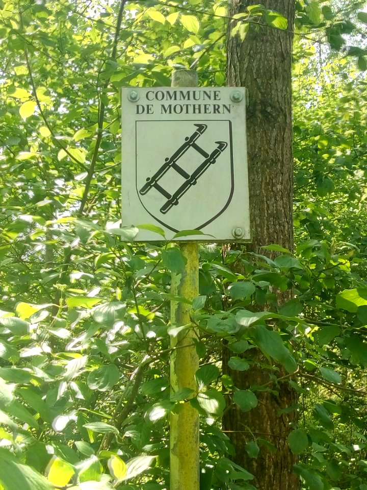 Mothern, rechtsrheinischer Waldbesitz am Kohlkopf