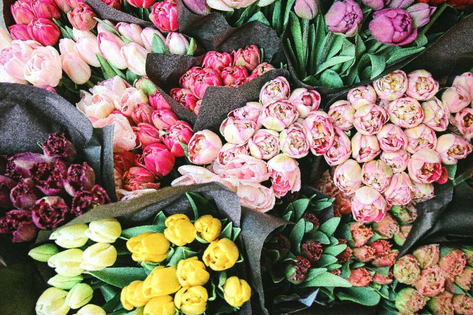 Plant display bouquet