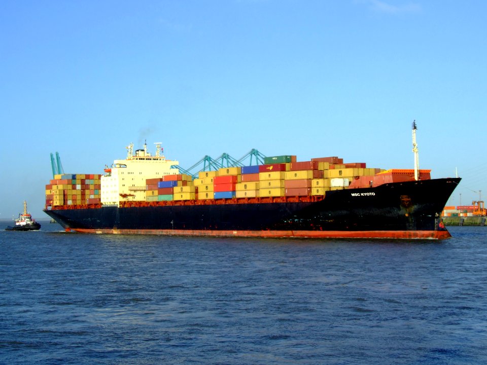 MSC Kyoto IMO 7825411, Port of Antwerp 19Dec2008 pic09