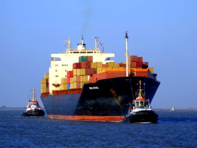 MSC Kyoto IMO 7825411, Port of Antwerp 19Dec2008 pic04