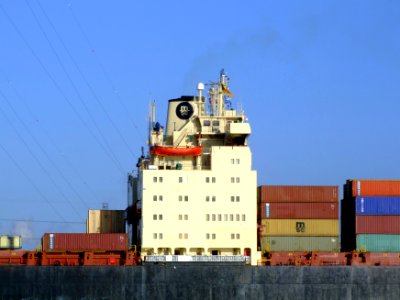 MSC Kyoto IMO 7825411, Port of Antwerp 19Dec2008 pic13