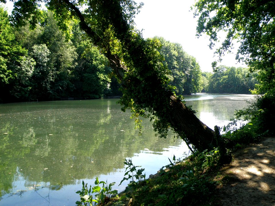 Mortsel Fort IV 1