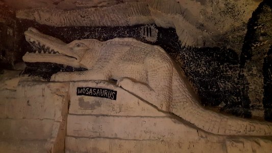 Maastricht-Gangenstelsel Zonneberg (59)