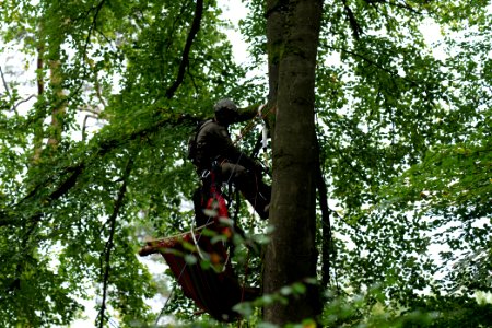 Maulbach forest blockades and protests 2020-10-05 28
