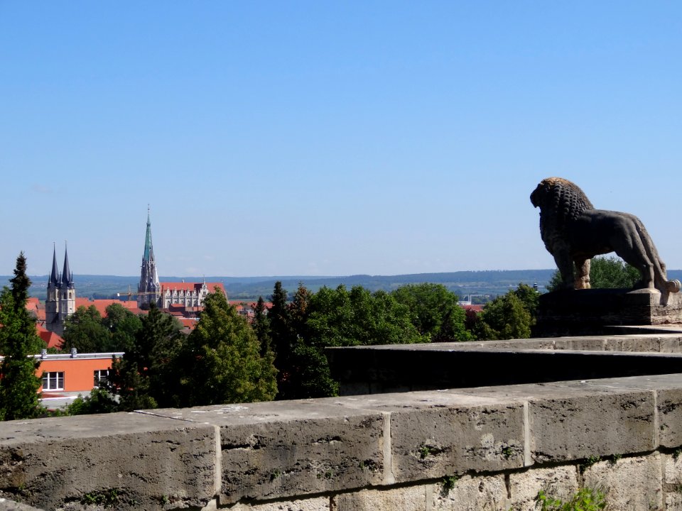 Mühlhäuser Löwe 2
