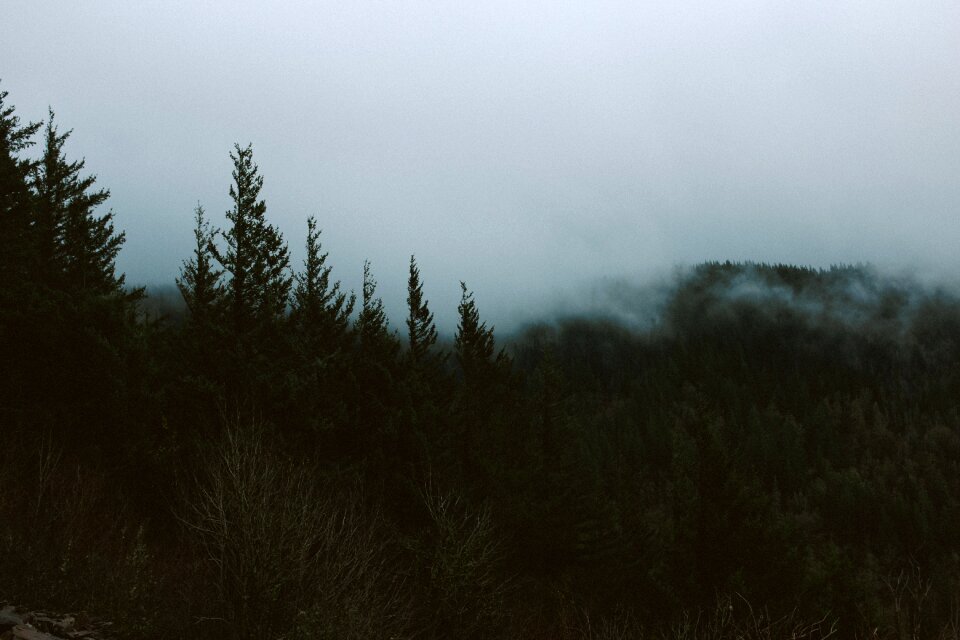 Dark camping vacation