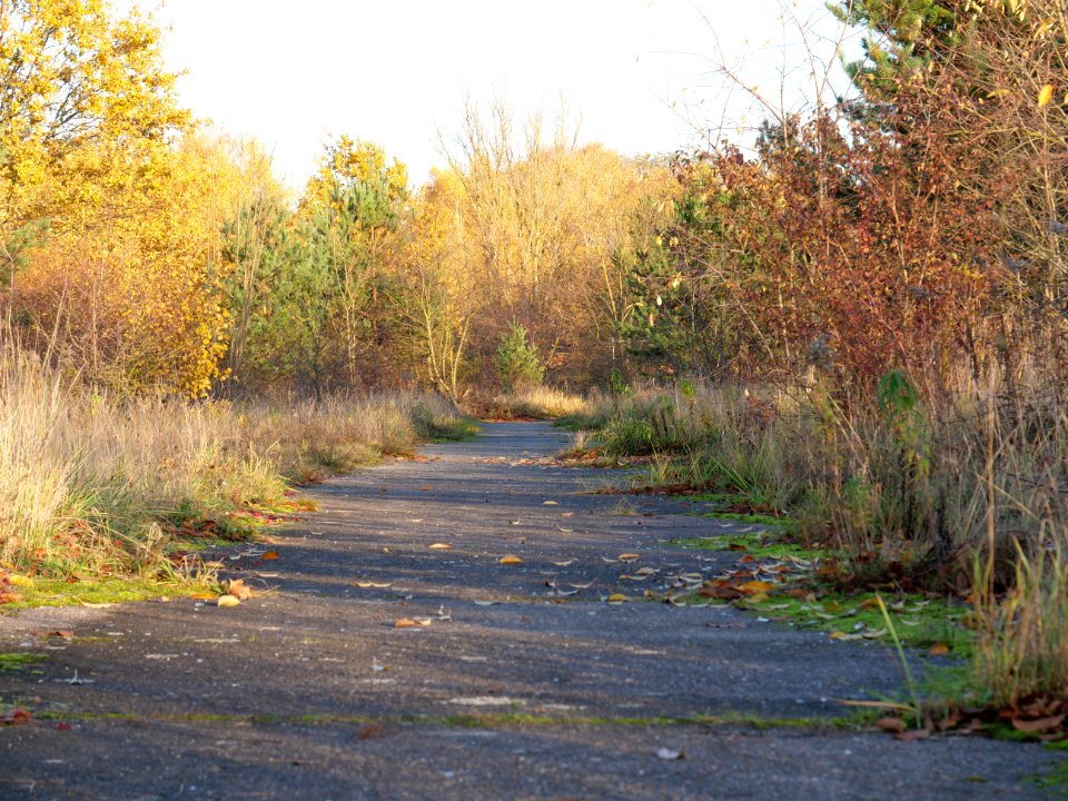 Mauerweg Hohen Neuendorf on 2019-11-11 02