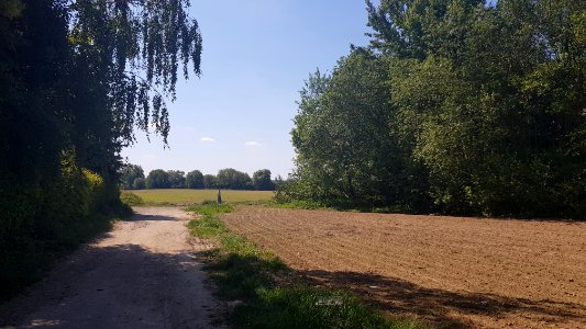Maastricht-Smeermaas-Grenspaal 101 (BE-NL) (1)