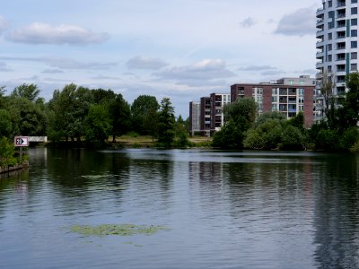 Maselakebucht 2019-07-04 03