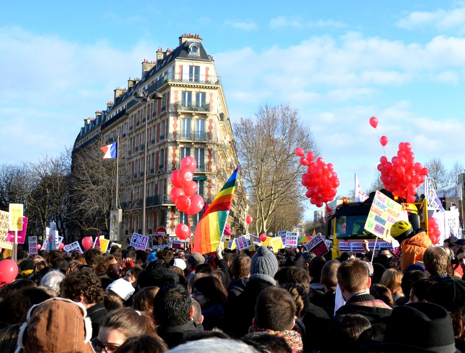 Marriage equality demonstration Paris 2013 01 27 07