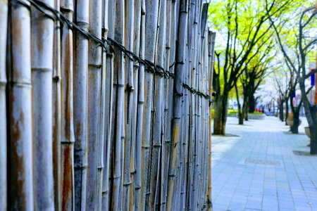 Architecture fence old