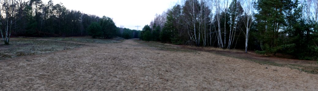 Mauerstreifen near Bürgerablage on 2019-12-20