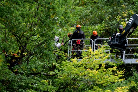 Maulbach forest blockades and protests 2020-10-05 92