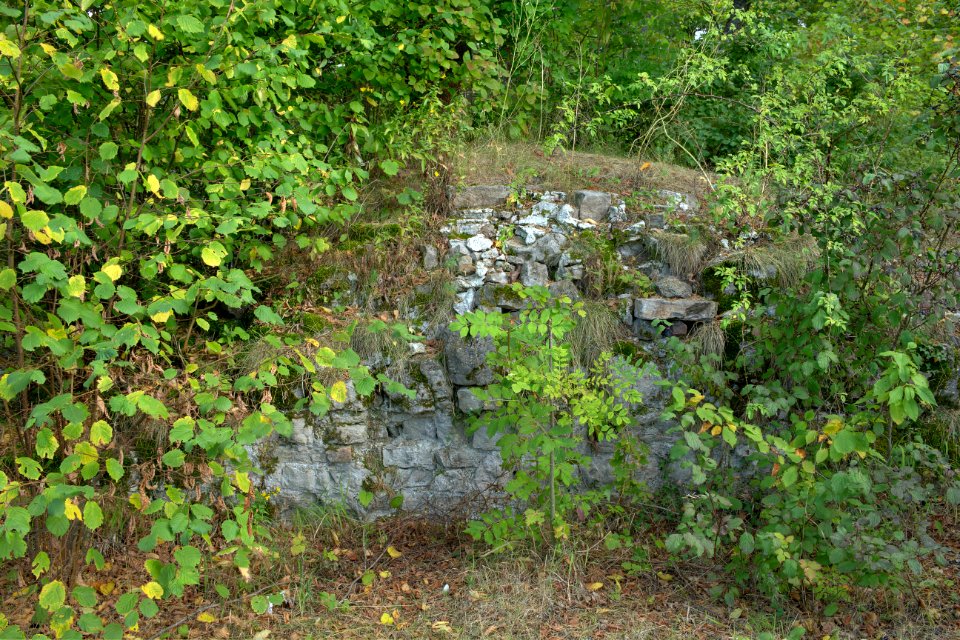 Mauerreste Burg Bilstein, Hessen, Deutschland, IMG 1096 097 098 099 100 101 102 edit