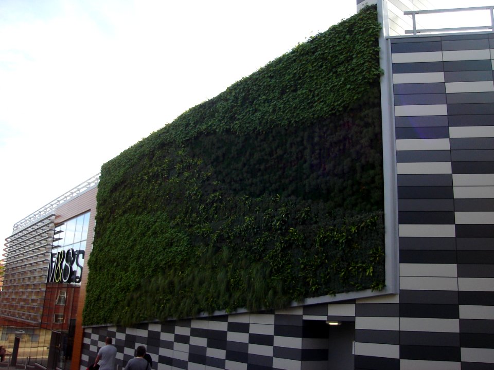 Marks and Spencer Green Wall Norwich