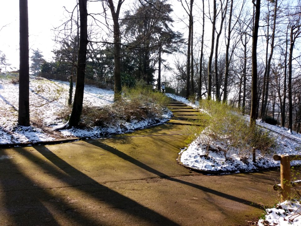 Lyon 4e - Parc de la Cerisaie - Allée avec neige