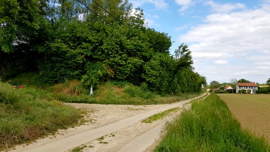 Maastricht-Vroenhoven-Grenspaal 78 (BE-NL) (5)