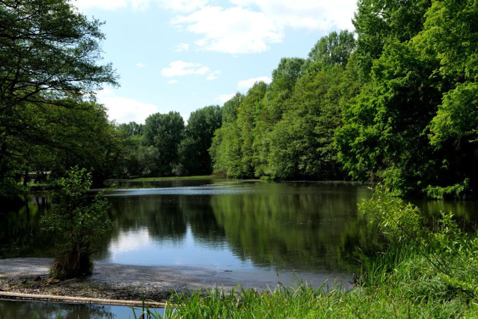 Mühlenbach in Gollmitz 2021-05-29 03