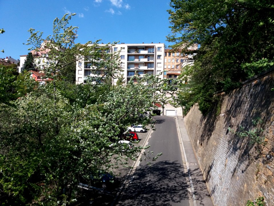Lyon 4e - Montée Bonafous, vue d'en haut, depuis l'escalier de la rue Justin Godart