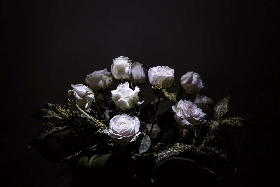 White black bouquet