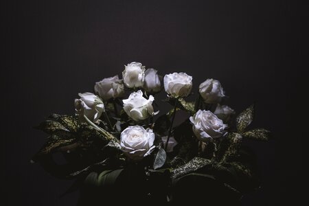 White black bouquet